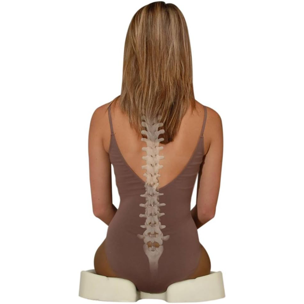 Kabooti 3-in-1 Seat Cushion